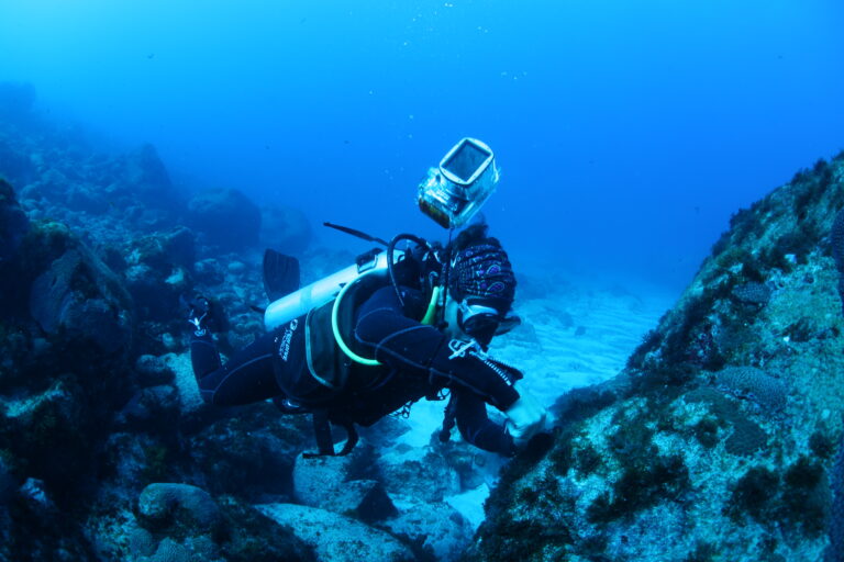 New Business in the CT&F Sector: Sustainable Bioprospecting and Biotechnology​