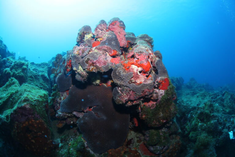 Bioprospecting for Better Personal Care​