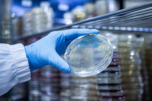 Proprietary strain bank​