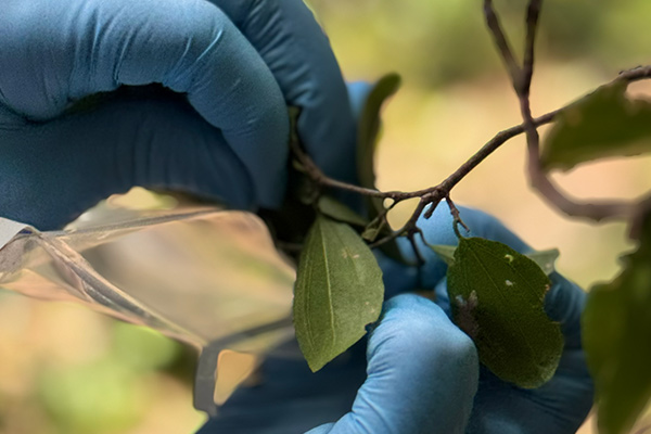 Bioprospecting expertise​